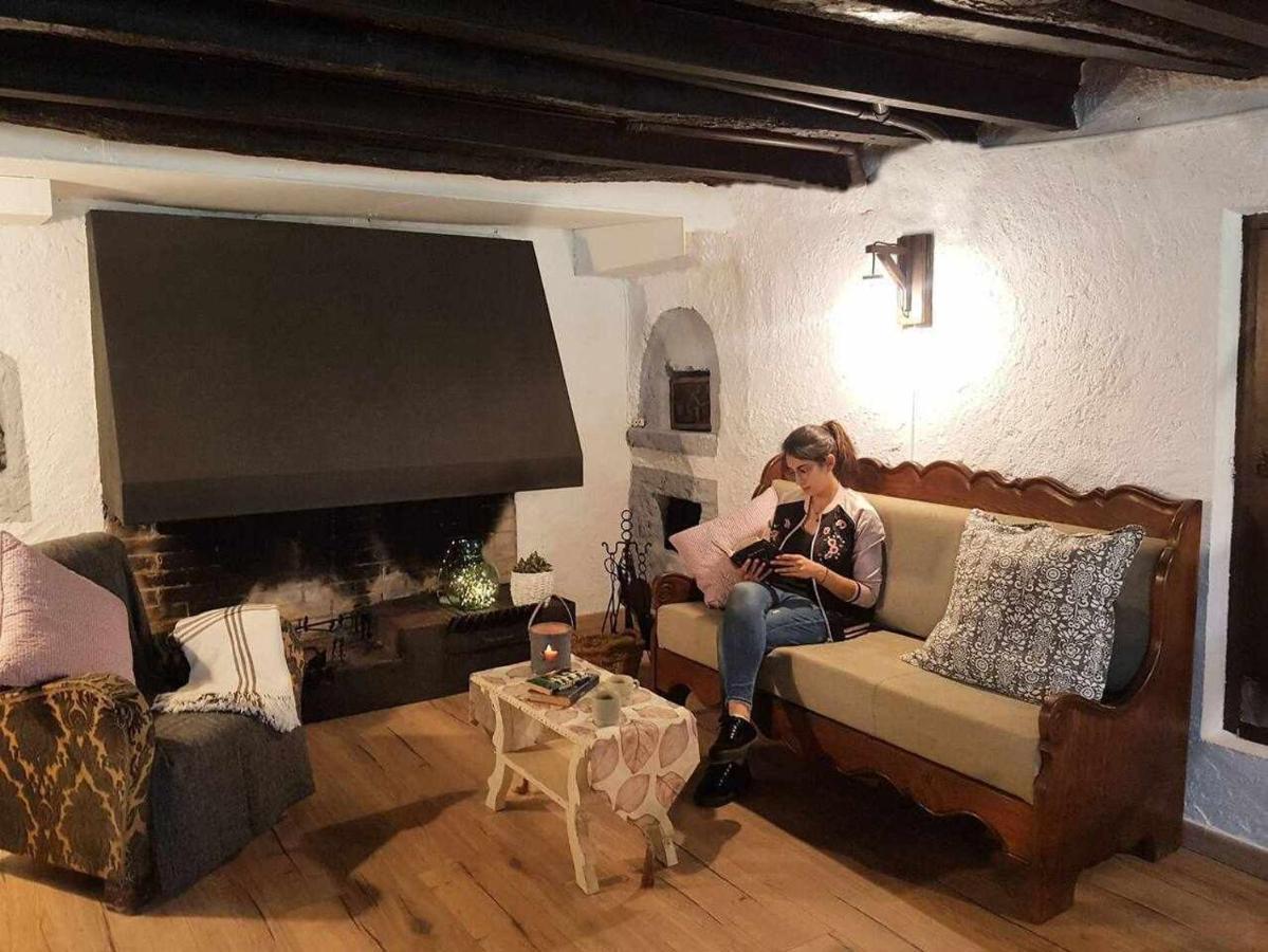 Mas Els Plans La Casa Pensada Para Perros Que Viajan Con Sus Humanos Olot Exterior foto