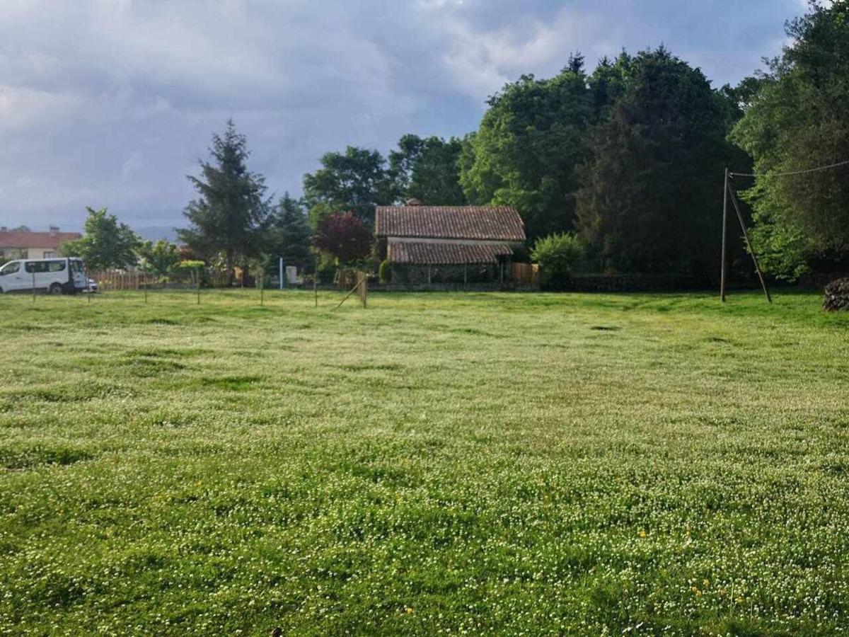 Mas Els Plans La Casa Pensada Para Perros Que Viajan Con Sus Humanos Olot Exterior foto