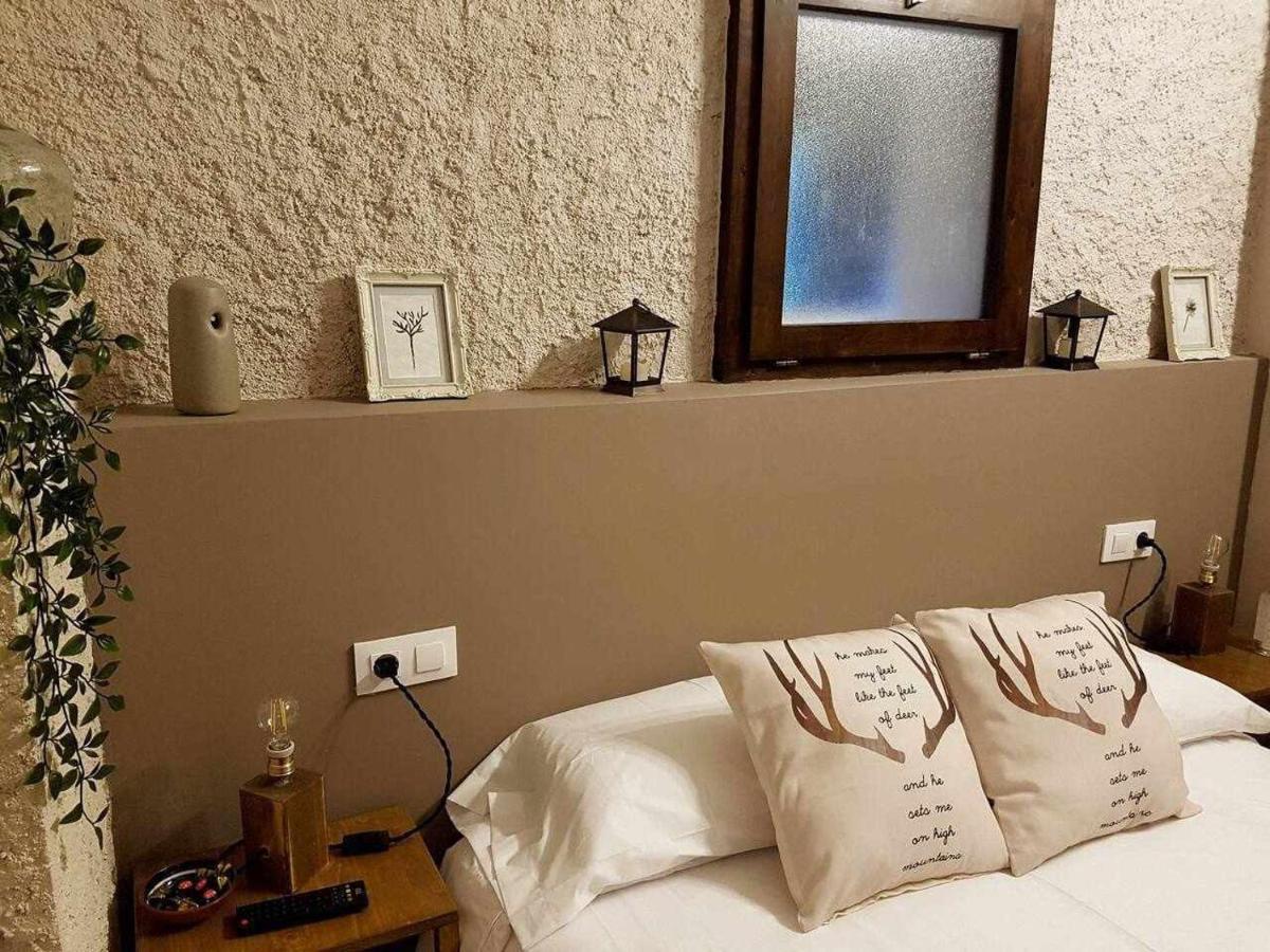 Mas Els Plans La Casa Pensada Para Perros Que Viajan Con Sus Humanos Olot Exterior foto