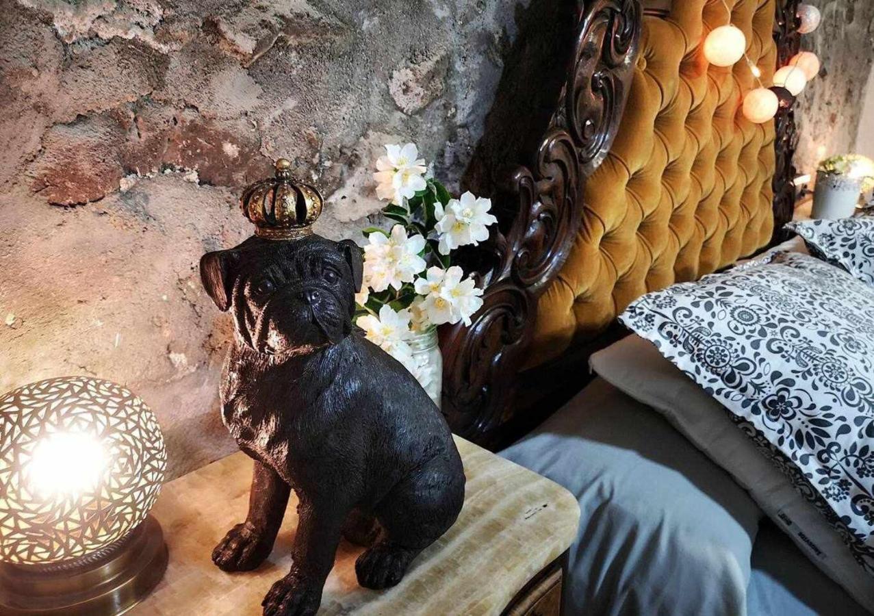 Mas Els Plans La Casa Pensada Para Perros Que Viajan Con Sus Humanos Olot Exterior foto