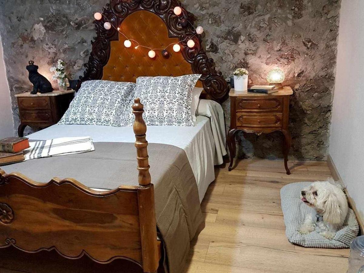 Mas Els Plans La Casa Pensada Para Perros Que Viajan Con Sus Humanos Olot Exterior foto