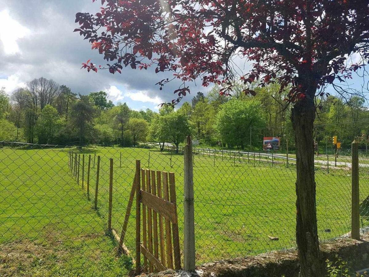 Mas Els Plans La Casa Pensada Para Perros Que Viajan Con Sus Humanos Olot Exterior foto