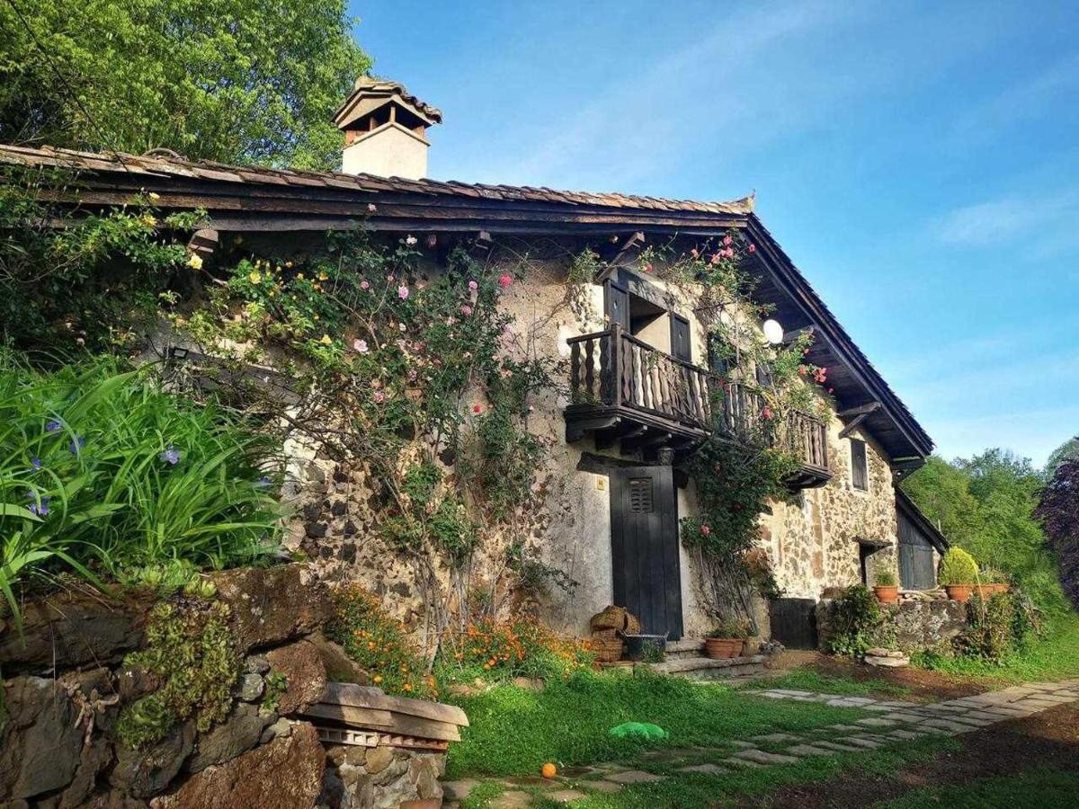 Mas Els Plans La Casa Pensada Para Perros Que Viajan Con Sus Humanos Olot Exterior foto